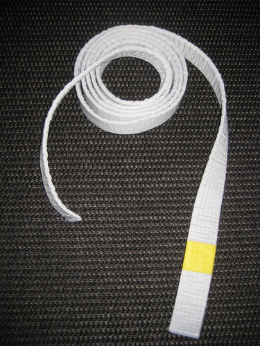 Judo oder taekwondo - judo?,