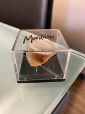 Miniatur- Parfüm- 2ml Montana Paris In Der Box Sammlerstück