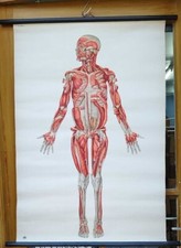 G016/ Alte Schulkarte DDR