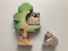 Ostheimer  Koala / Koala