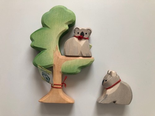Ostheimer koala - /,
