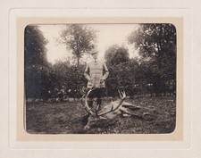 Fürst Albert von Thurn u