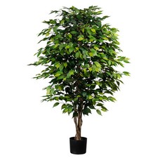 Künstliche Birkenfeige 'Ficus