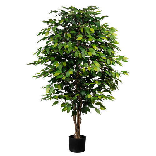 Künstliche birkenfeige ficus - künstliche, 'ficus