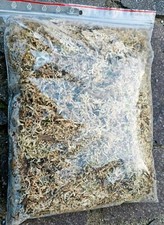  Sphagnum Moos 1 Tüte mit ca. 3 Liter