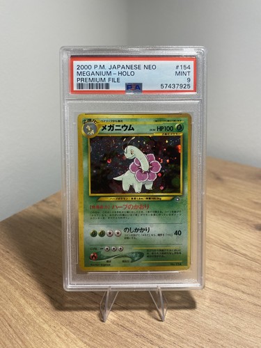 Pokémon meganium meganie - pokémon,