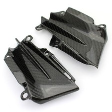 Carbon Seitenverkleidung für