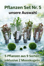 SAHAWA 5er Wasserpflanzen Set