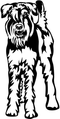Riesenschnauzer aufkleber - riesenschnauzer,