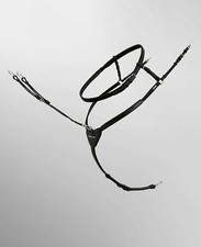 Passier Vorderzeug Ingrid