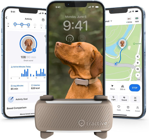 Tractive gps tracker - gps, hund