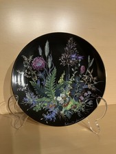 1 Sammelteller Verborgene