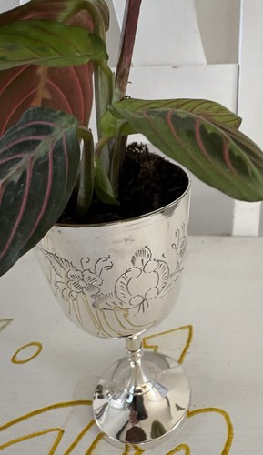 Portwein kelch jardiniere - portwein,