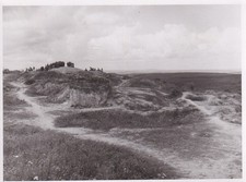 Foto - Bunker Anlage in den Dünen Frankreich ? - 2.WK