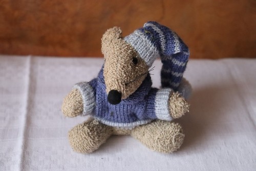 Maus mit blauem - , pulli