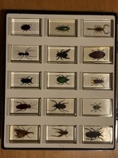 Nat. Geographic Mini Biester