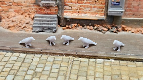 Kolkrabe rabe h0 vogel - kolkrabe,