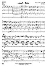 Amboss-Polka, Blasorchester /