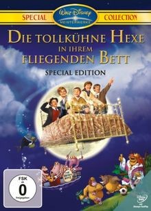 Die tollkühne hexe ihrem - die, in