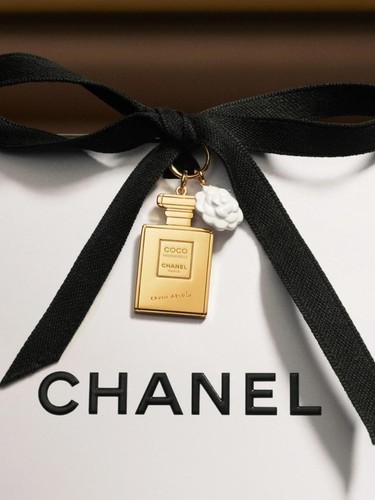 Chanel novelty limited - chanel, coco