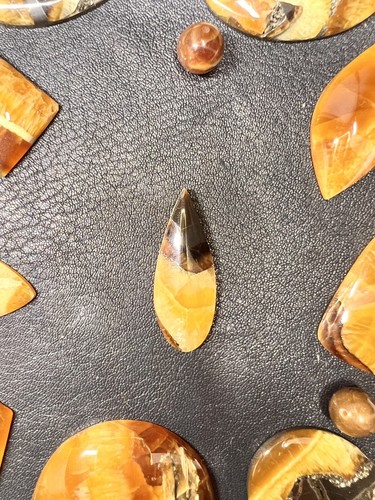 Septarie symbirzit pyrit - septarie,