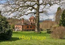 Foto 6x4 ramster - foto, und