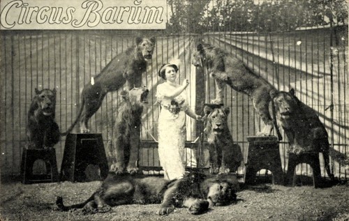 Zirkus barum dressur - ak, barum,