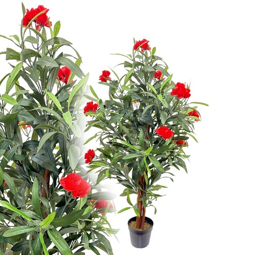 Oleander rot 120 - 120, cm