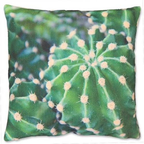 Dekokissen zierkissen cactus - zierkissen,