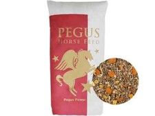 Pegus pferdefutter power - pferdefutter,