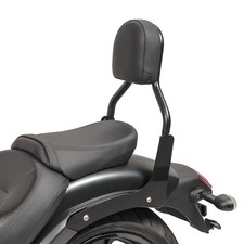 Sissy Bar CL3 für Kawasaki