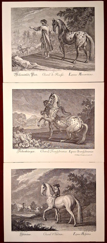 Reproduktionen von - 3,