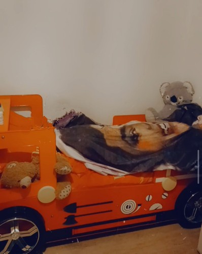 Autobett für kinder - autobett,