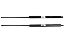 2 x Stabilus Gasfeder 2500N GF