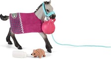 Horse club quarter - club, foal