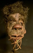 Shrunken head Schrumpfkopf