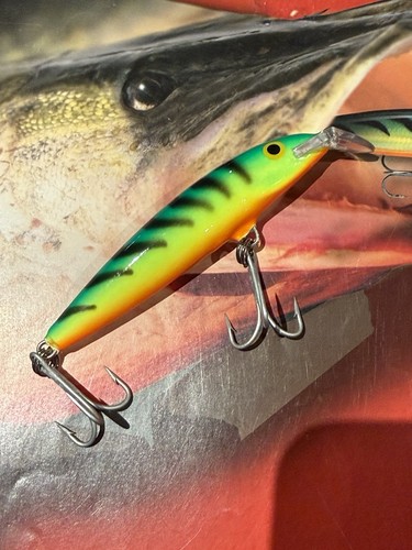 Rapala floating magnum fire - floating, 9