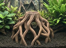 Mangrove Stump Hideout