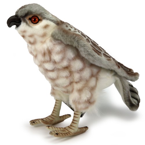 Turmfalke 25cm falke - 25cm,