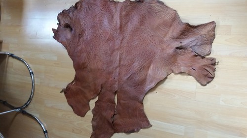 Straußenleder,Straussenleder