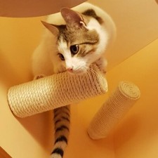 Sisal Stufe, Wand Kratzstamm für Katzen Catwalk Wandpark Treppe Kletter Leiter