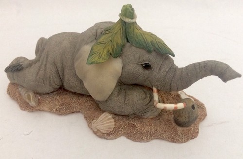 Stoßzähne elefant life - life, a