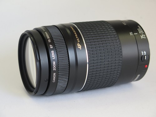 Canon 300 4 - canon, mm