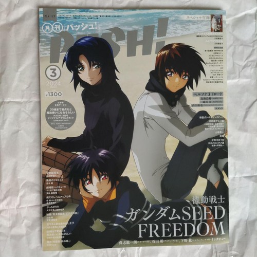 Ausgabe pash 2024 - pash,