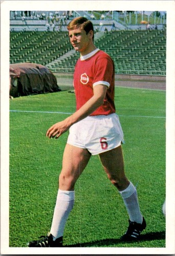 Alfred resenberg kickers - resenberg,