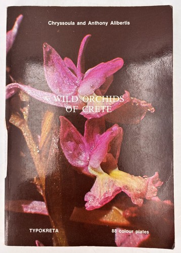Typokreta wild orchids - typokreta,