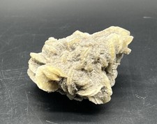 Sandrose Wüstenrose? #4000