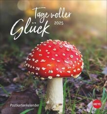 Tage voller glück - tage,