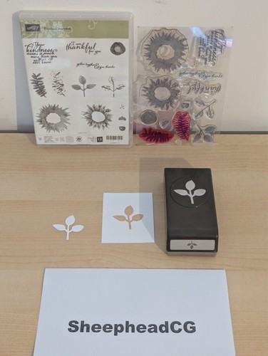 Stampin bemalte ernte - stampin', up!