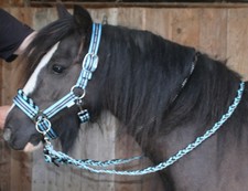 PONY Trense REITHALFTER +